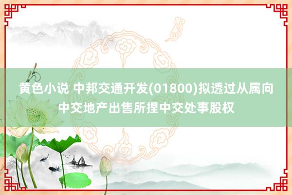 黄色小说 中邦交通开发(01800)拟透过从属向中交地产出售所捏中交处事股权