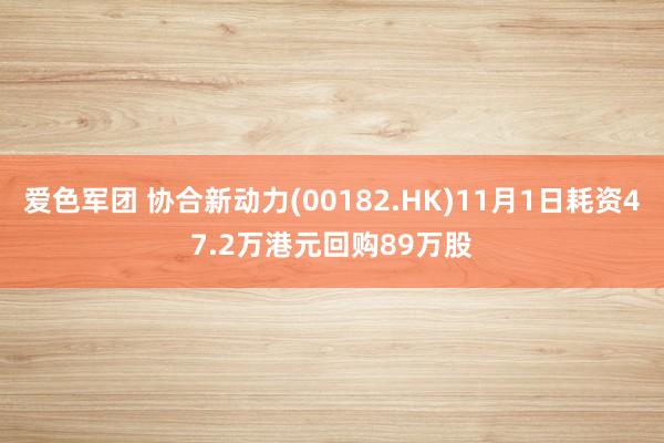 爱色军团 协合新动力(00182.HK)11月1日耗资47.2万港元回购89万股