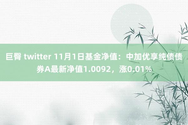 巨臀 twitter 11月1日基金净值：中加优享纯债债券A最新净值1.0092，涨0.01%