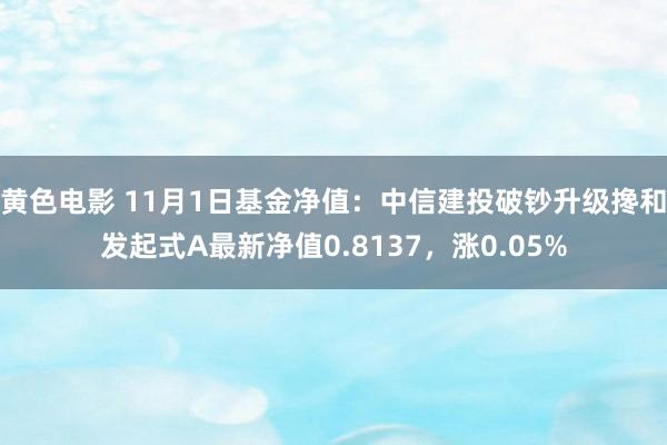 黄色电影 11月1日基金净值：中信建投破钞升级搀和发起式A最新净值0.8137，涨0.05%