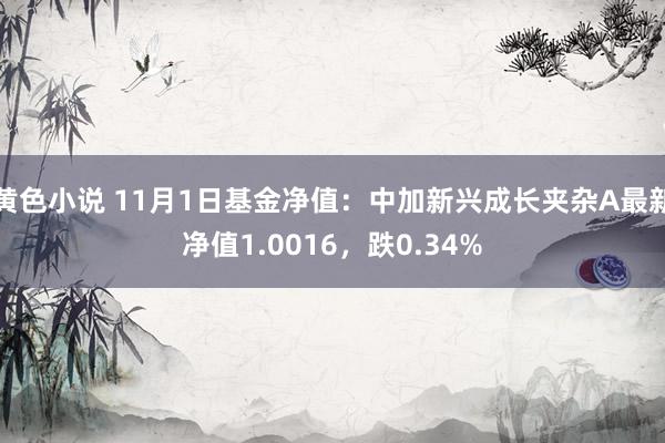 黄色小说 11月1日基金净值：中加新兴成长夹杂A最新净值1.0016，跌0.34%