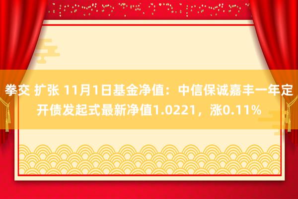 拳交 扩张 11月1日基金净值：中信保诚嘉丰一年定开债发起式最新净值1.0221，涨0.11%