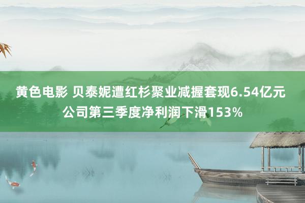 黄色电影 贝泰妮遭红杉聚业减握套现6.54亿元 公司第三季度净利润下滑153%