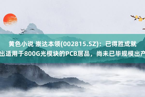 黄色小说 崇达本领(002815.SZ)：已得胜成就出适用于800G光模块的PCB居品，尚未已毕规模出产