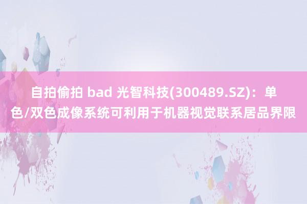 自拍偷拍 bad 光智科技(300489.SZ)：单色/双色成像系统可利用于机器视觉联系居品界限