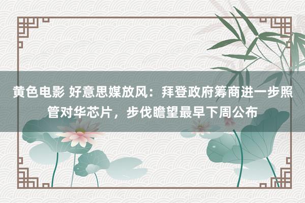 黄色电影 好意思媒放风：拜登政府筹商进一步照管对华芯片，步伐瞻望最早下周公布