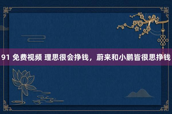 91 免费视频 理思很会挣钱，蔚来和小鹏皆很思挣钱