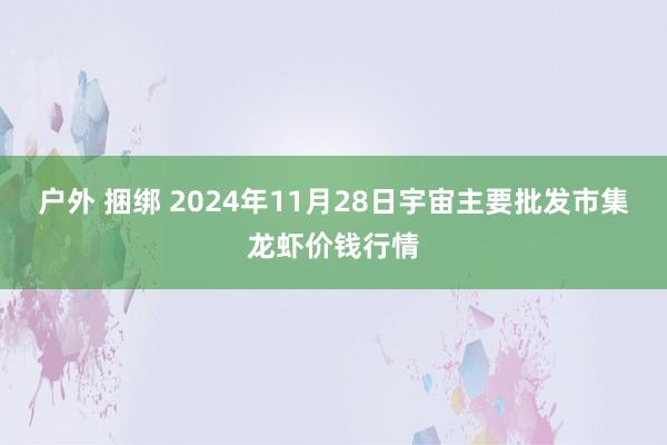 户外 捆绑 2024年11月28日宇宙主要批发市集龙虾价钱行情