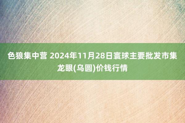 色狼集中营 2024年11月28日寰球主要批发市集龙眼(乌圆)价钱行情