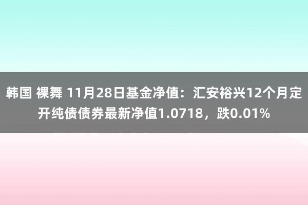 韩国 裸舞 11月28日基金净值：汇安裕兴12个月定开纯债债券最新净值1.0718，跌0.01%