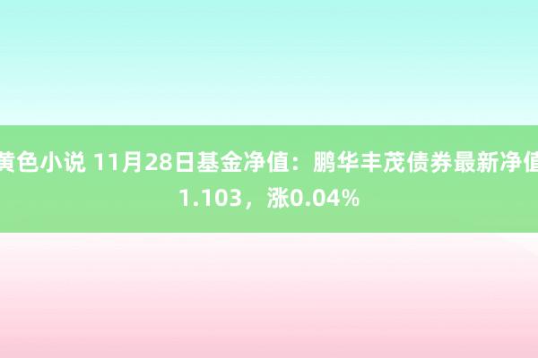 黄色小说 11月28日基金净值：鹏华丰茂债券最新净值1.103，涨0.04%