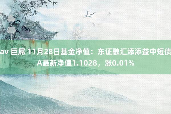 av 巨屌 11月28日基金净值：东证融汇添添益中短债A最新净值1.1028，涨0.01%