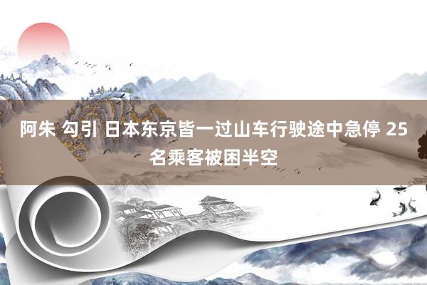 阿朱 勾引 日本东京皆一过山车行驶途中急停 25名乘客被困半空