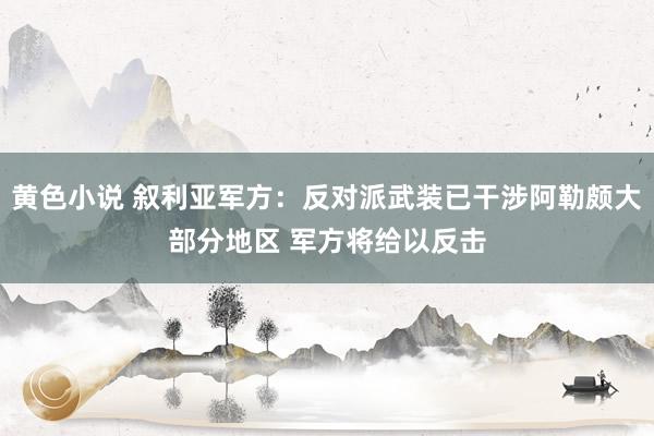 黄色小说 叙利亚军方：反对派武装已干涉阿勒颇大部分地区 军方将给以反击