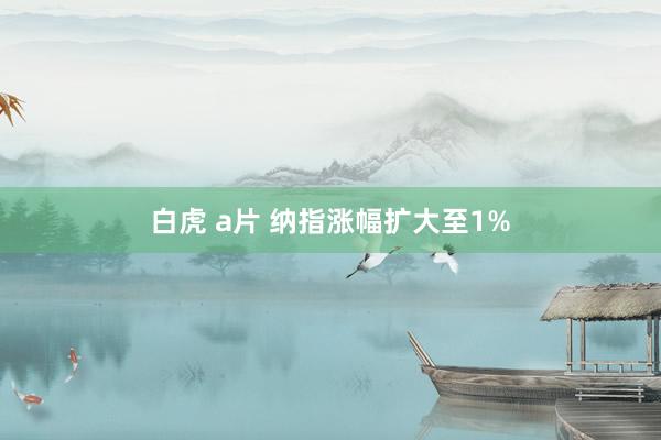 白虎 a片 纳指涨幅扩大至1%