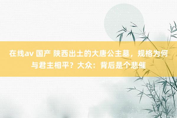 在线av 国产 陕西出土的大唐公主墓，规格为何与君主相平？大众：背后是个悲催