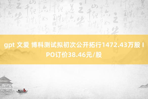 gpt 文爱 博科测试拟初次公开拓行1472.43万股 IPO订价38.46元/股