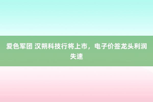 爱色军团 汉朔科技行将上市，电子价签龙头利润失速