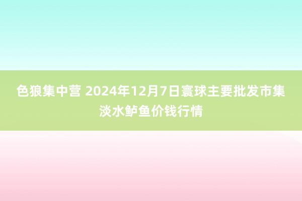 色狼集中营 2024年12月7日寰球主要批发市集淡水鲈鱼价钱行情