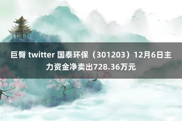 巨臀 twitter 国泰环保（301203）12月6日主力资金净卖出728.36万元