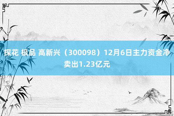 探花 极品 高新兴（300098）12月6日主力资金净卖出1.23亿元