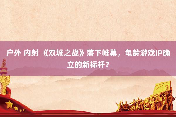 户外 内射 《双城之战》落下帷幕，龟龄游戏IP确立的新标杆？