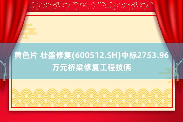 黄色片 壮盛修复(600512.SH)中标2753.96万元桥梁修复工程技俩