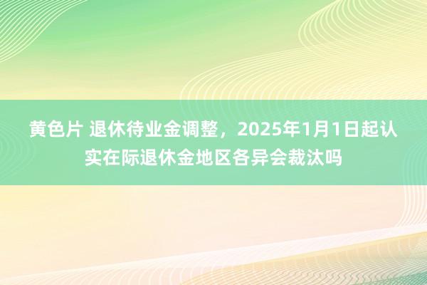 黄色片 退休待业金调整，2025年1月1日起认实在际退休金地区各异会裁汰吗