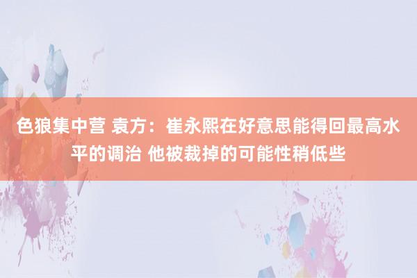 色狼集中营 袁方：崔永熙在好意思能得回最高水平的调治 他被裁掉的可能性稍低些