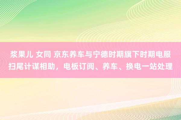 浆果儿 女同 京东养车与宁德时期旗下时期电服扫尾计谋相助，电板订阅、养车、换电一站处理