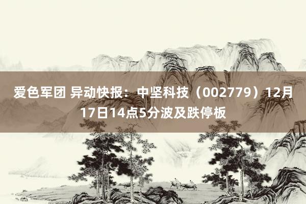 爱色军团 异动快报：中坚科技（002779）12月17日14点5分波及跌停板