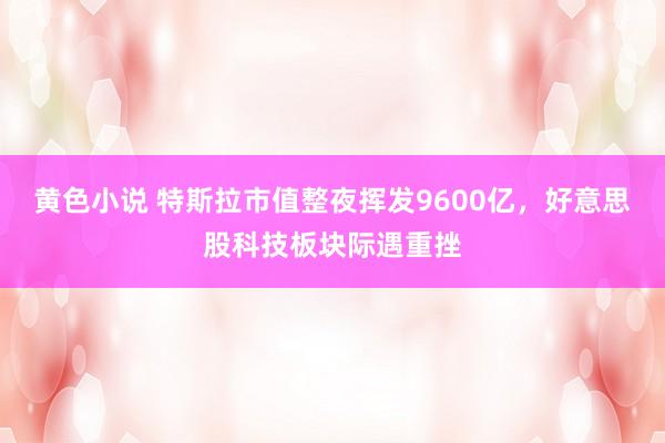 黄色小说 特斯拉市值整夜挥发9600亿，好意思股科技板块际遇重挫