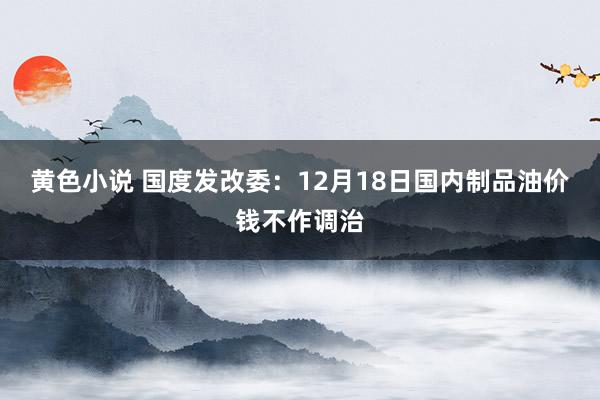 黄色小说 国度发改委：12月18日国内制品油价钱不作调治