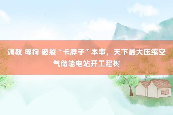 调教 母狗 破裂“卡脖子”本事，天下最大压缩空气储能电站开工建树