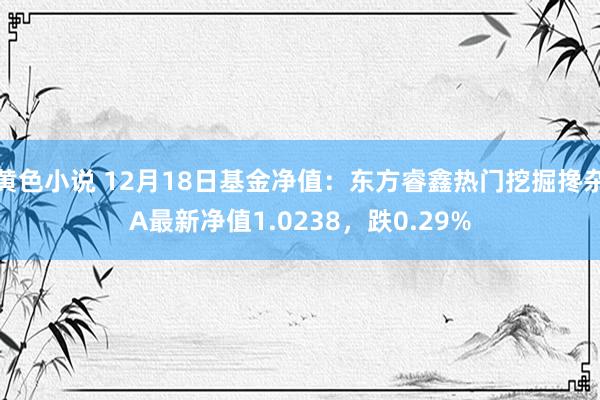 黄色小说 12月18日基金净值：东方睿鑫热门挖掘搀杂A最新净值1.0238，跌0.29%