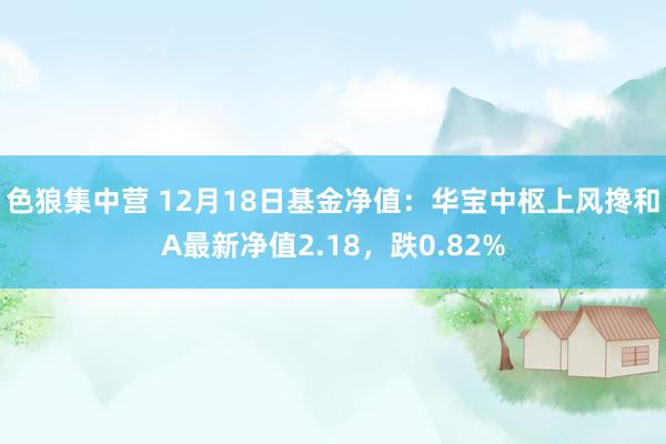 色狼集中营 12月18日基金净值：华宝中枢上风搀和A最新净值2.18，跌0.82%