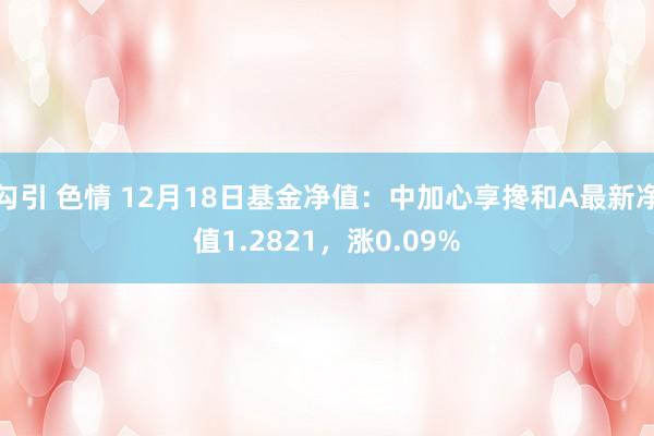 勾引 色情 12月18日基金净值：中加心享搀和A最新净值1.2821，涨0.09%