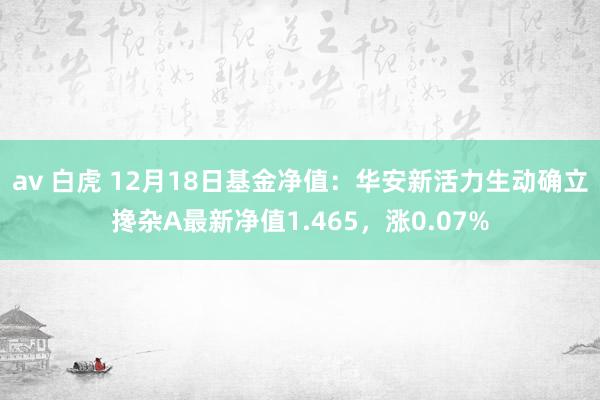 av 白虎 12月18日基金净值：华安新活力生动确立搀杂A最新净值1.465，涨0.07%