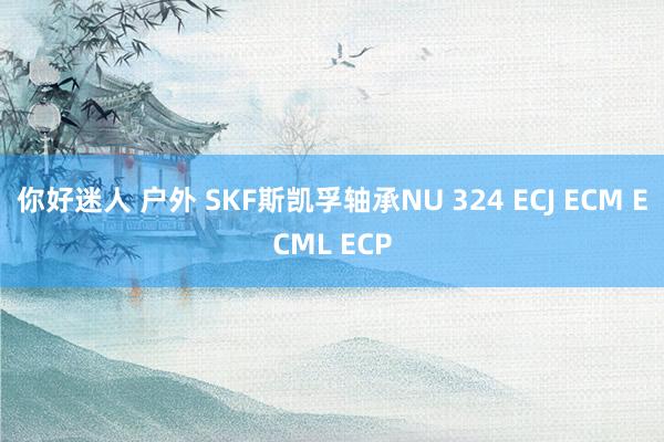 你好迷人 户外 SKF斯凯孚轴承NU 324 ECJ ECM ECML ECP