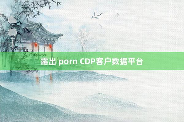 露出 porn CDP客户数据平台