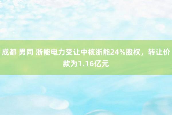 成都 男同 浙能电力受让中核浙能24%股权，转让价款为1.16亿元