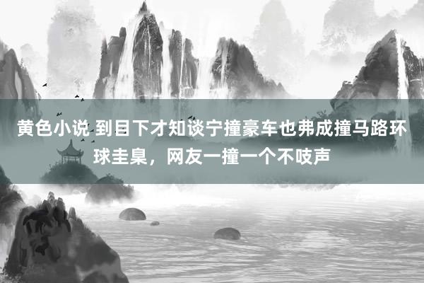 黄色小说 到目下才知谈宁撞豪车也弗成撞马路环球圭臬，网友一撞一个不吱声