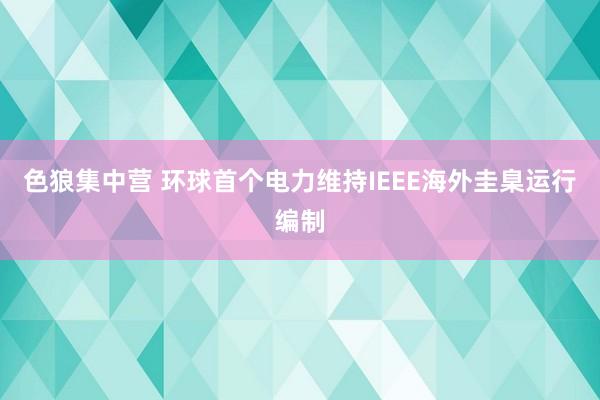 色狼集中营 环球首个电力维持IEEE海外圭臬运行编制