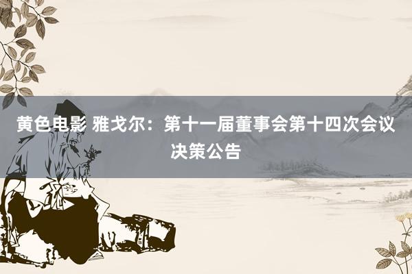 黄色电影 雅戈尔：第十一届董事会第十四次会议决策公告