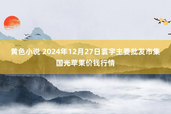 黄色小说 2024年12月27日寰宇主要批发市集国光苹果价钱行情