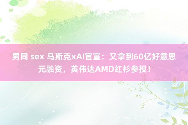 男同 sex 马斯克xAI官宣：又拿到60亿好意思元融资，英伟达AMD红杉参投！