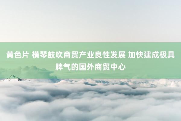 黄色片 横琴鼓吹商贸产业良性发展 加快建成极具脾气的国外商贸中心