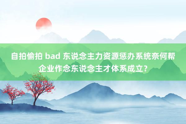 自拍偷拍 bad 东说念主力资源惩办系统奈何帮企业作念东说念主才体系成立？