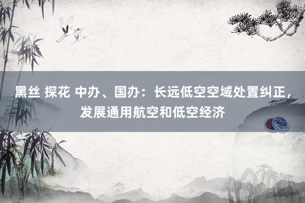 黑丝 探花 中办、国办：长远低空空域处置纠正，发展通用航空和低空经济