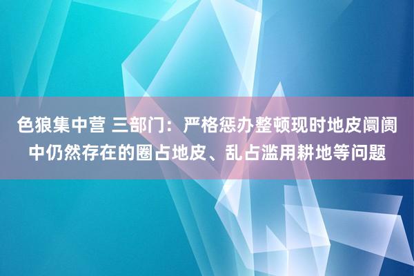 色狼集中营 三部门：严格惩办整顿现时地皮阛阓中仍然存在的圈占地皮、乱占滥用耕地等问题